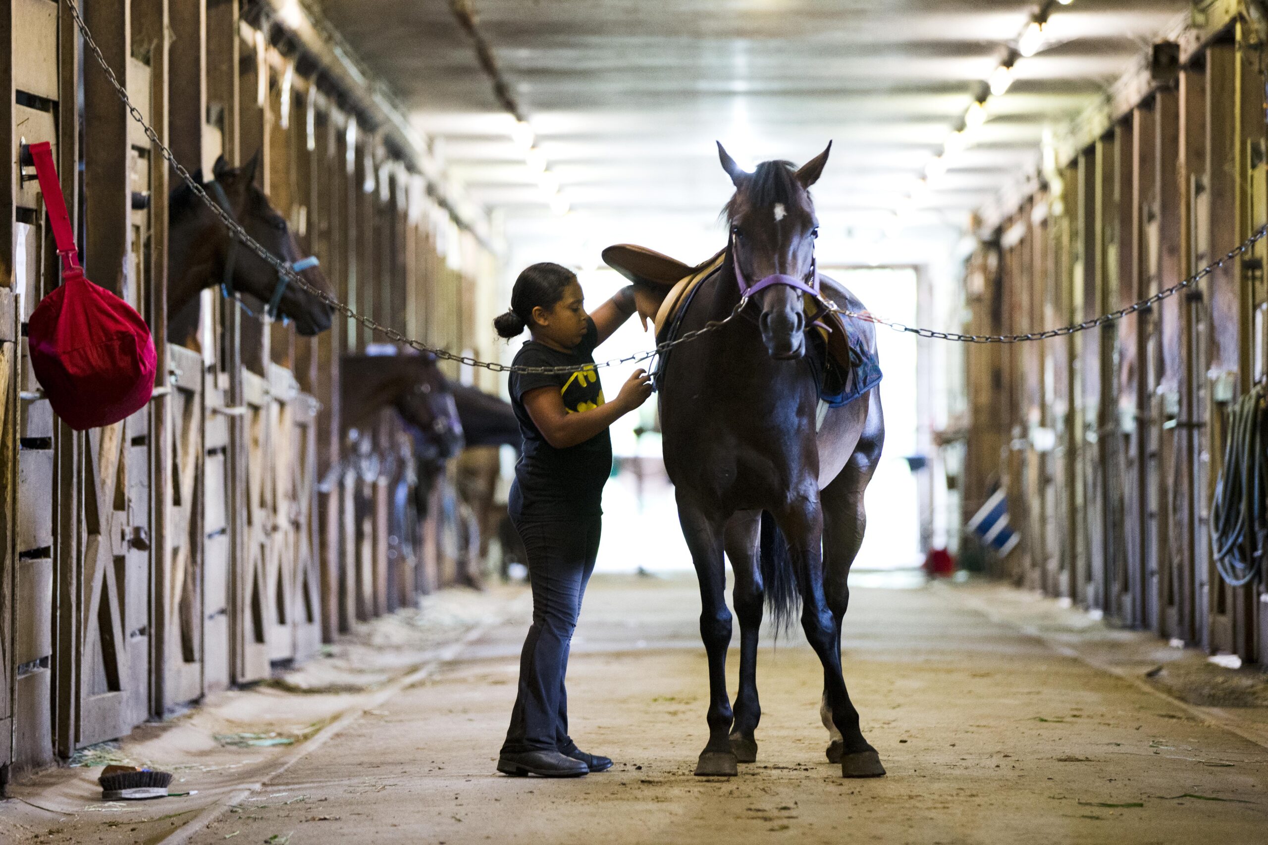 In Philadelphia, Work to Ride uses horses to ensure children’s safety